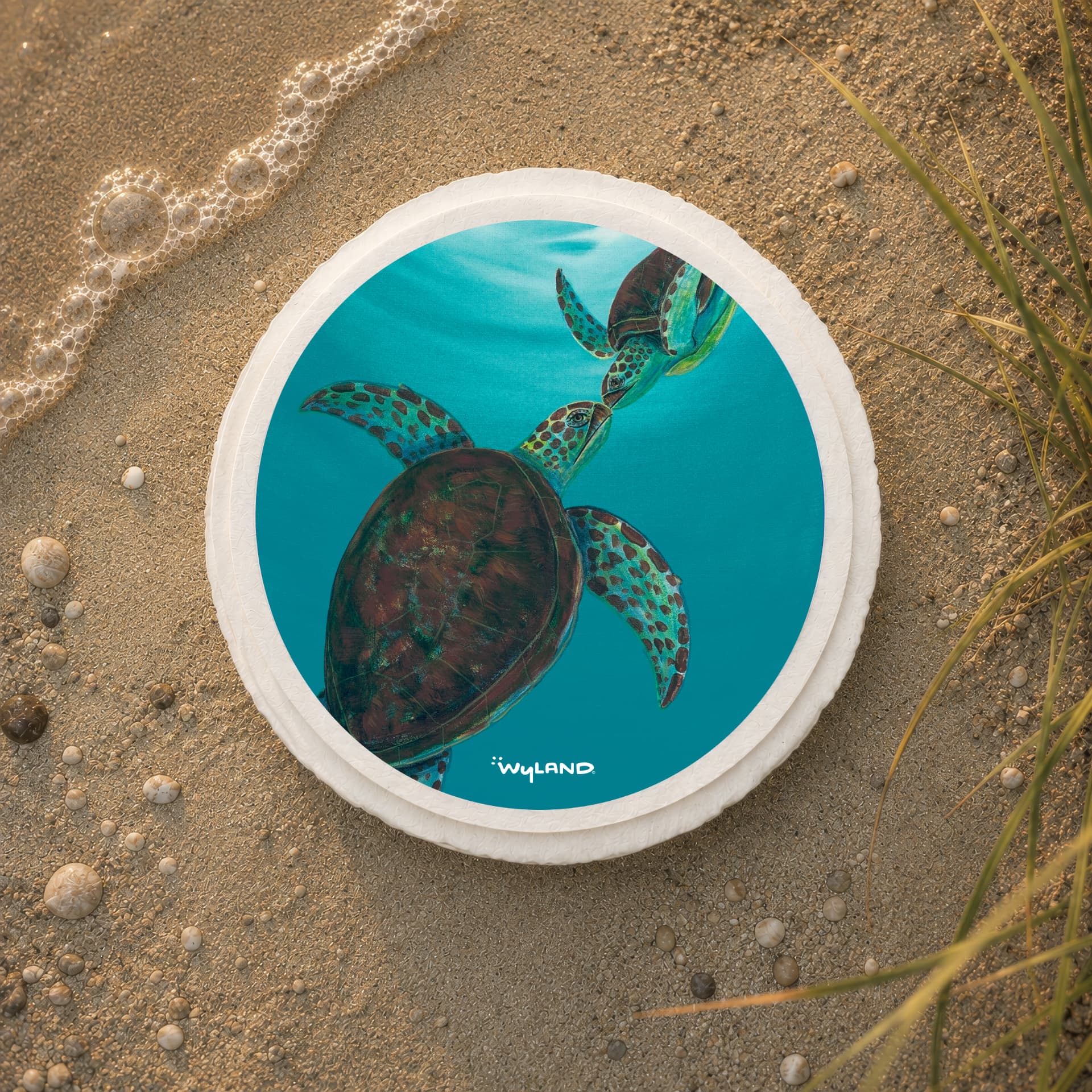 TributeArk water disbursement vessel with Wyland's sea turtles artwork, resting on wet sand